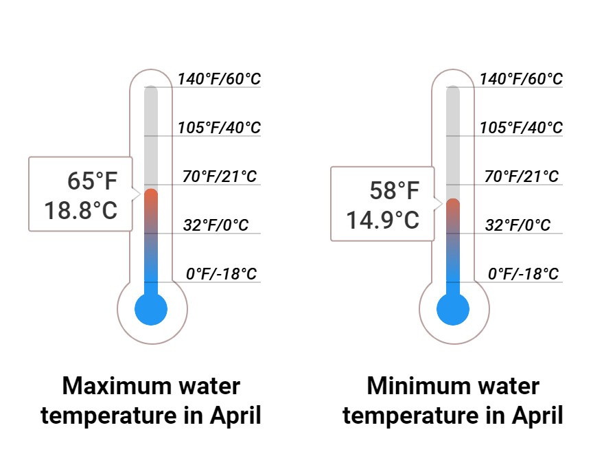 Average Sea temperature